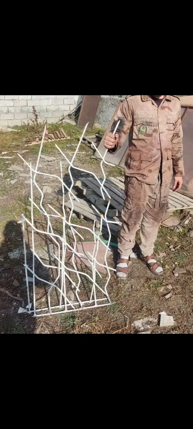 شاخ گوزنی|عمده‌فروشی|اردبیل, |دیوار