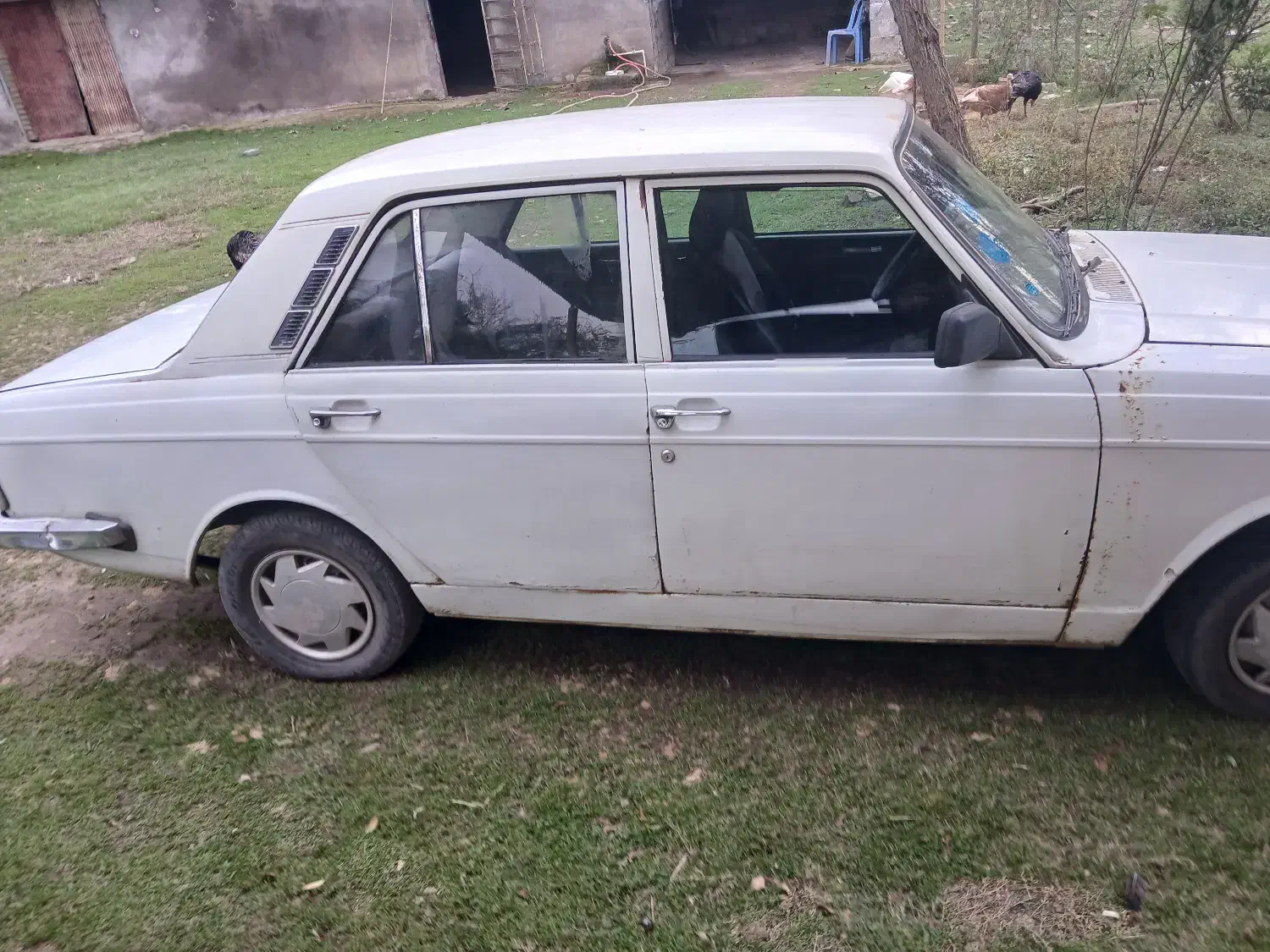 پیکان مدل ۷۹|خودرو سواری و وانت|سیاهکل, |دیوار