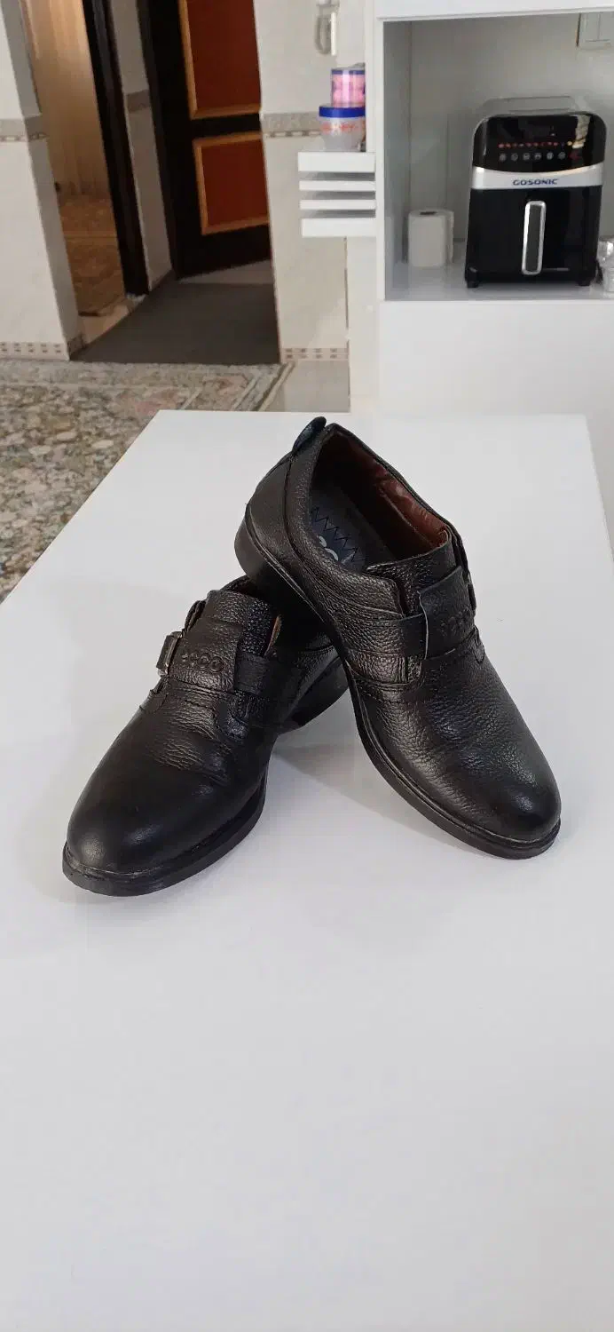 کفش مجلسی|کیف، کفش، کمربند|کرمانشاه, |دیوار