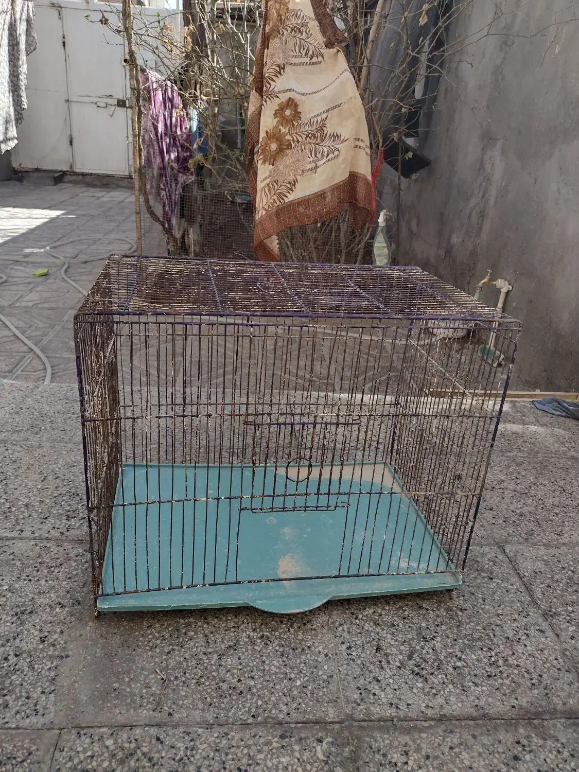 مفت مفت|لوازم جانبی حیوانات|بیرجند, |دیوار