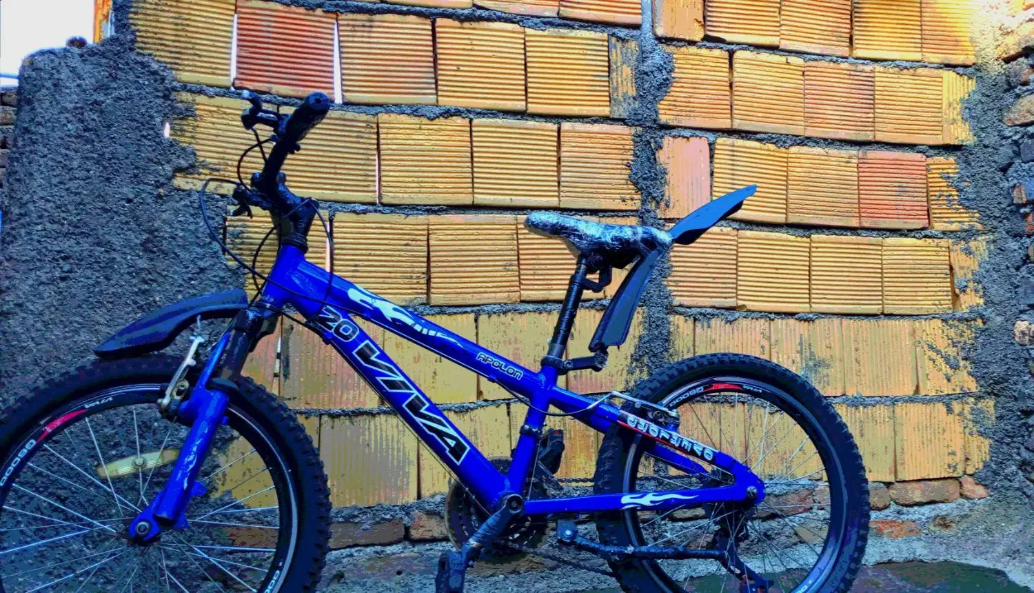 دوچرخه ویوا|دوچرخه، اسکیت، اسکوتر|جوانرود, |دیوار