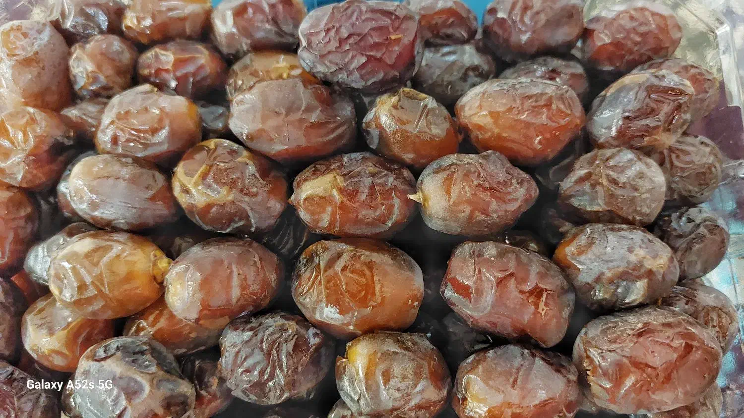 خرما|خوردنی و آشامیدنی|شیراز, اصلاح‌نژاد|دیوار