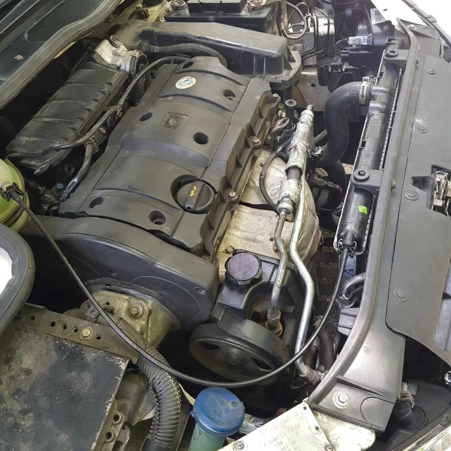 ۲۰۶ تیپ ۵ مدل ۹۰ بسیار سالم فرانسوی|خودرو سواری و وانت|کرج, باغستان|دیوار