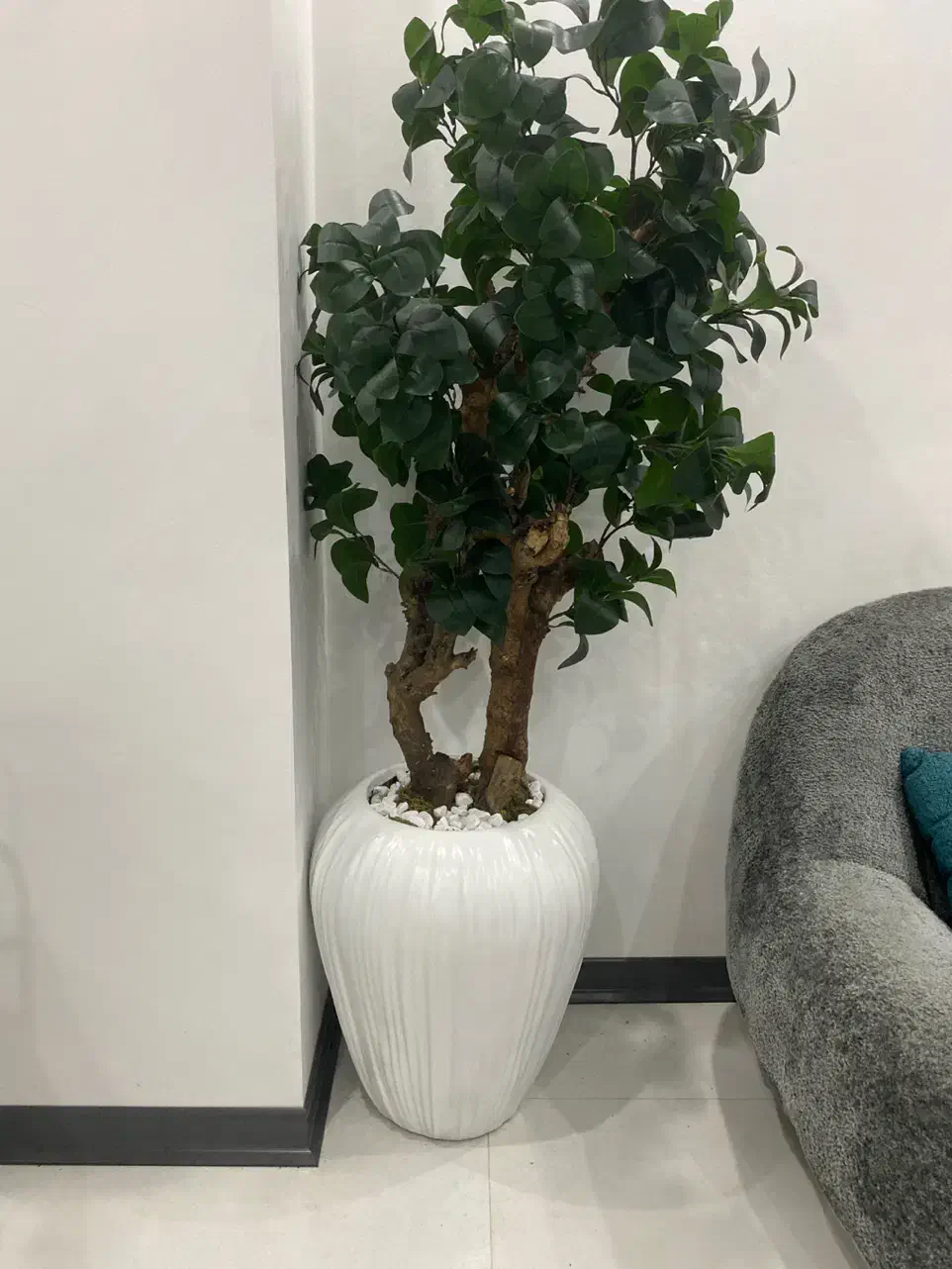 درختچه به همراه گلدان|صنایع دستی و سایر لوازم تزئینی|نور, |دیوار