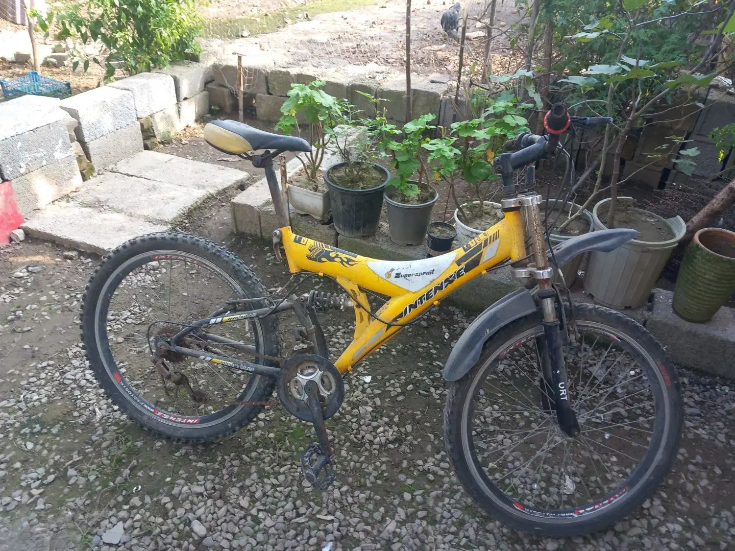 وسیله نقلیه، دوچرخه سواری|دوچرخه، اسکیت، اسکوتر|آستانه اشرفیه, |دیوار