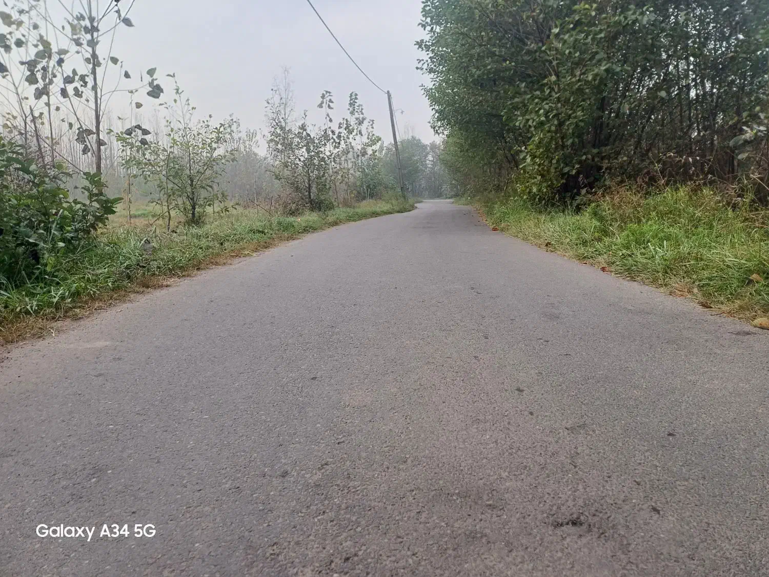 شالی سنتی سندتک برگ|فروش زمین و ملک کلنگی|رشت, استادسرا|دیوار