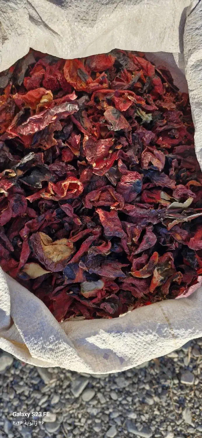 فلفل پاپریکا|خوردنی و آشامیدنی|مشهد, دانشجو|دیوار