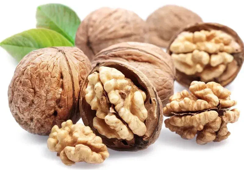 مغز گردو|خوردنی و آشامیدنی|یزد, |دیوار