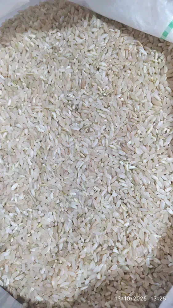 فروش برنج چمپا|خوردنی و آشامیدنی|یاسوج, |دیوار