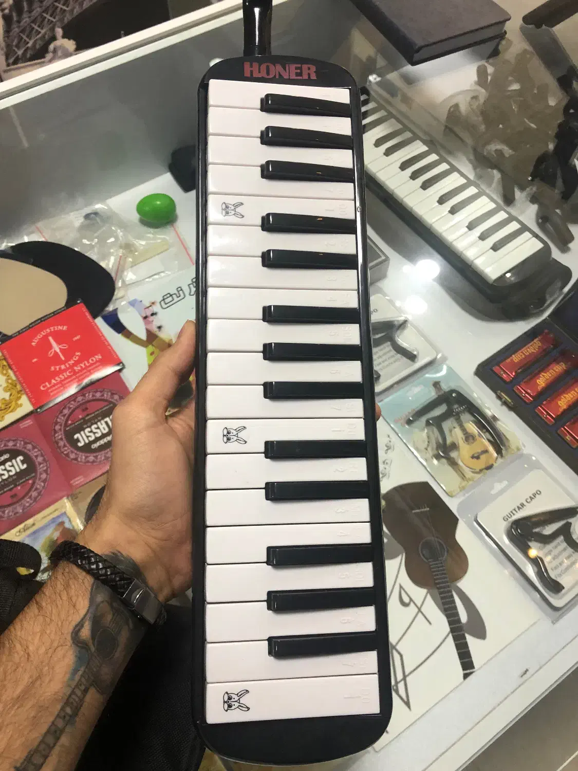 ملودیکا موجود در دورنگ|پیانو، کیبورد، آکاردئون|مهاباد (آذربایجان غربی), |دیوار