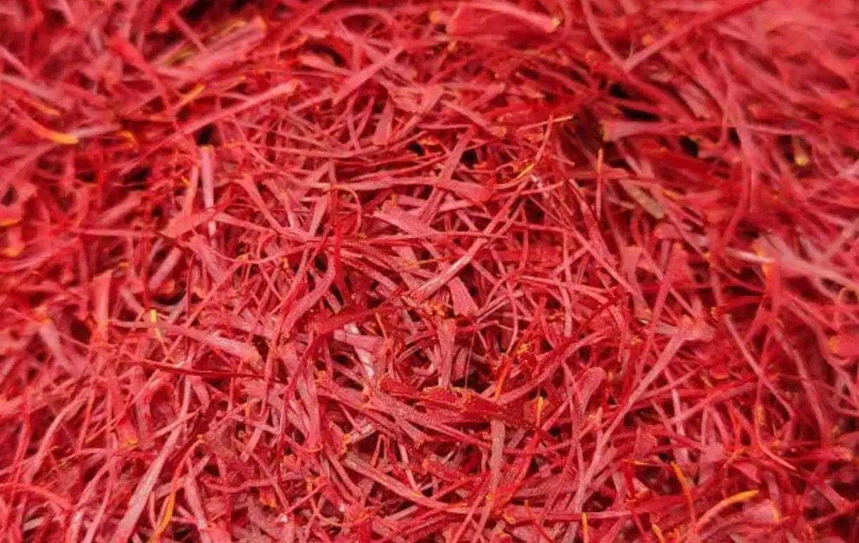 پانصدگرم زعفران سوپر نگین صادراتی زیر قیمت|خوردنی و آشامیدنی|تهران, علیآباد|دیوار