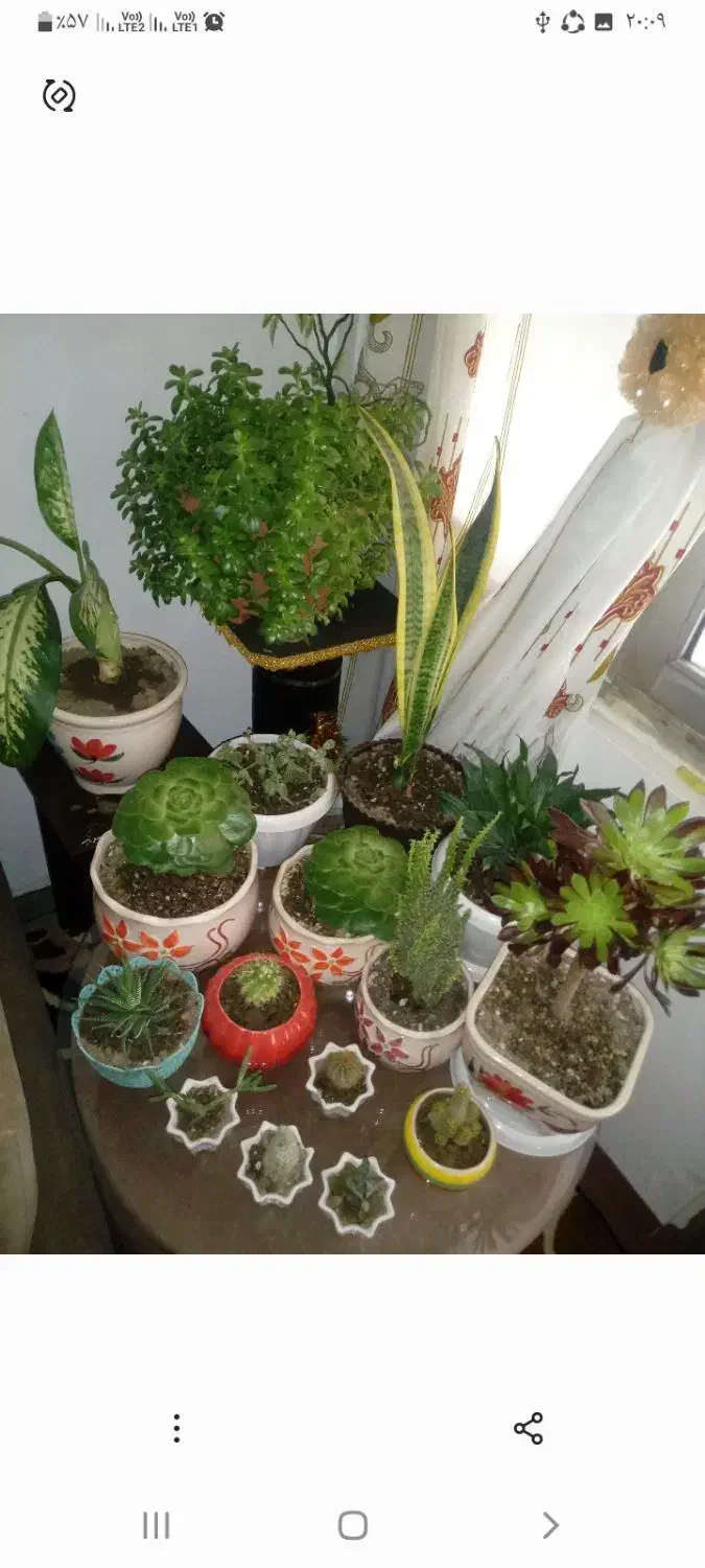 همکار خانم برای خدمات|استخدام سرایداری و نظافت|امامزاده عبدالله, |دیوار