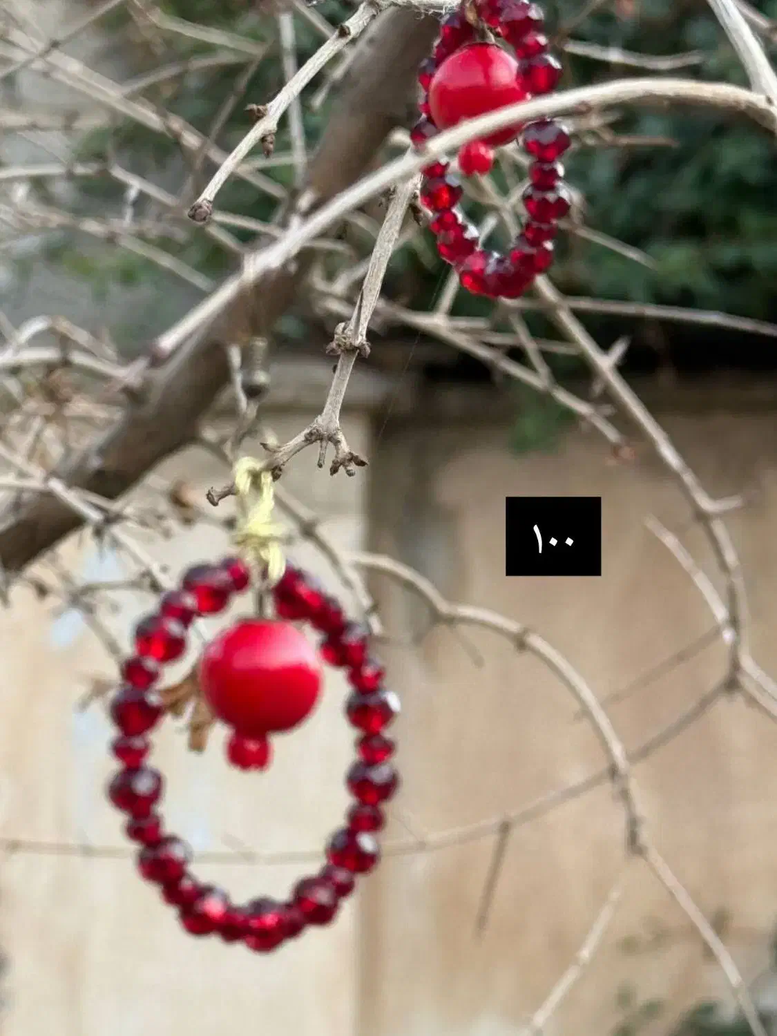 بدلیجات یلدایی|بدلیجات|نظرآباد, رسالت|دیوار