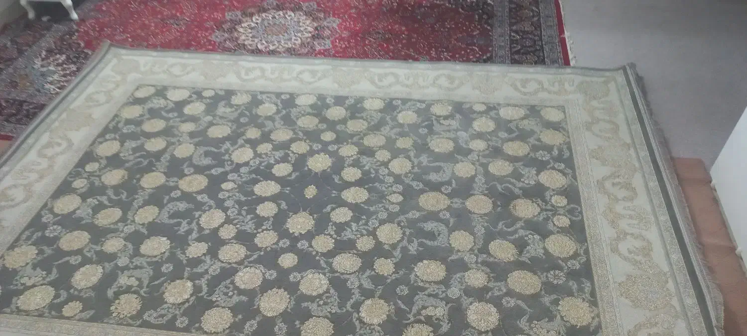 فرش ۹ متری ۱۲۰۰ شانه نو|فرش|قم, شاه ابراهیم|دیوار