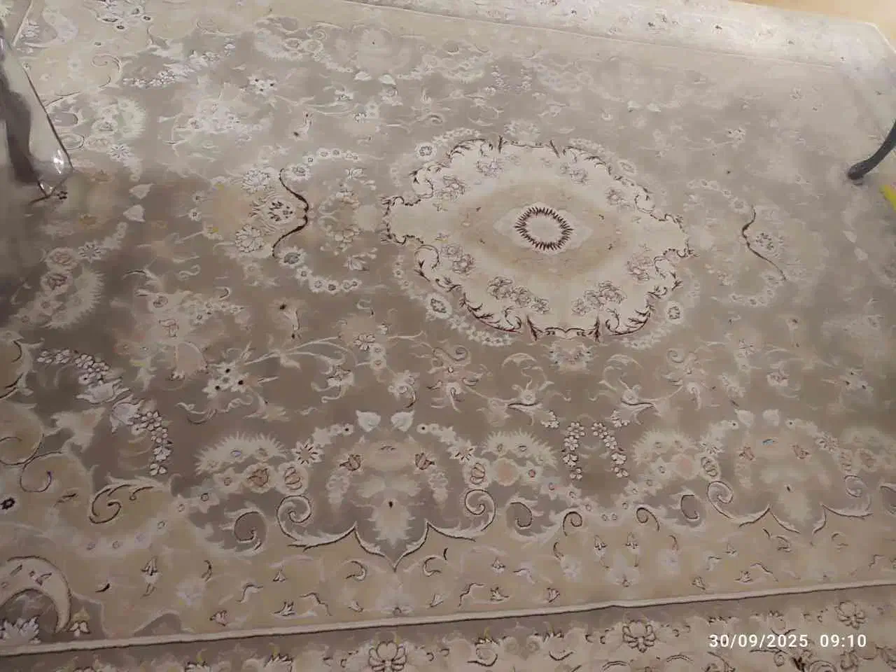 قالی ۱۲ متری|فرش|قوچان, |دیوار