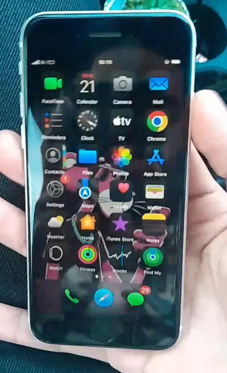 iphone se2020|موبایل|بیرجند, |دیوار