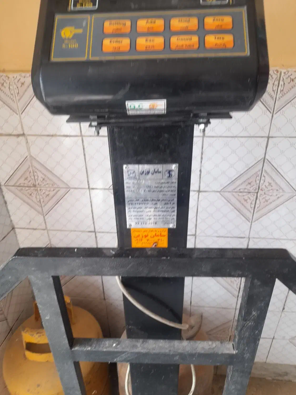 باسکول پانصد کیلوی وچهار راس میش افشاری جوان|حیوانات مزرعه|بن, |دیوار