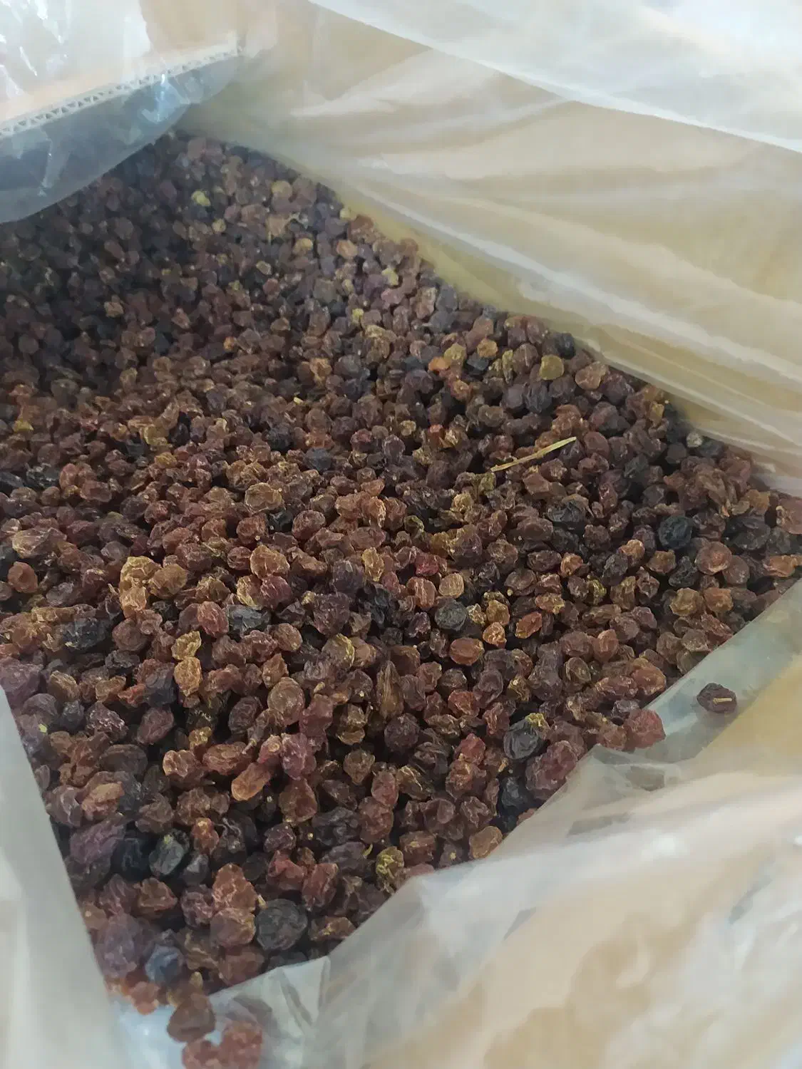 کشمش آفتابی تاکستان تحویل درب منزل|خوردنی و آشامیدنی|ساری, |دیوار