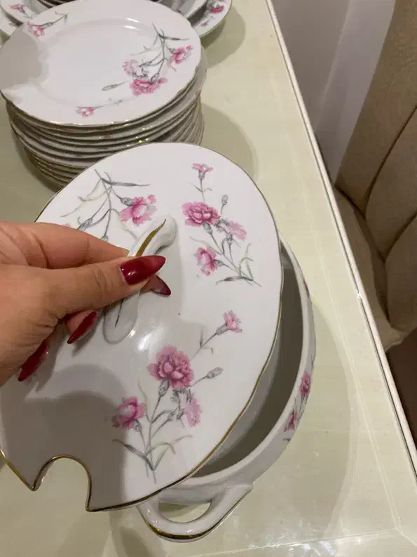 ظروف چینی گل میخکی|ظروف سرو و پذیرایی|مشهد, هنرستان|دیوار