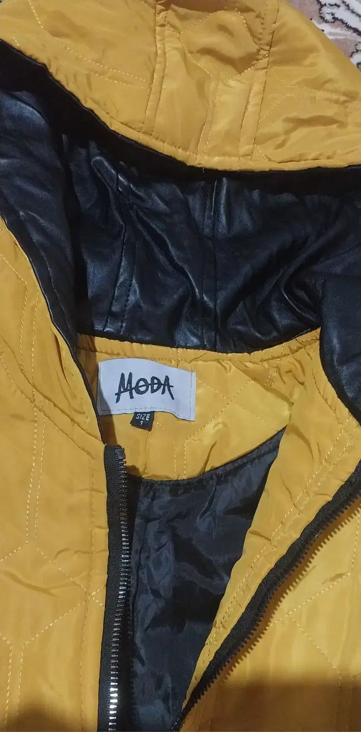 فروش کاپشن و پالتو در حد نو|لباس|تنکابن, |دیوار