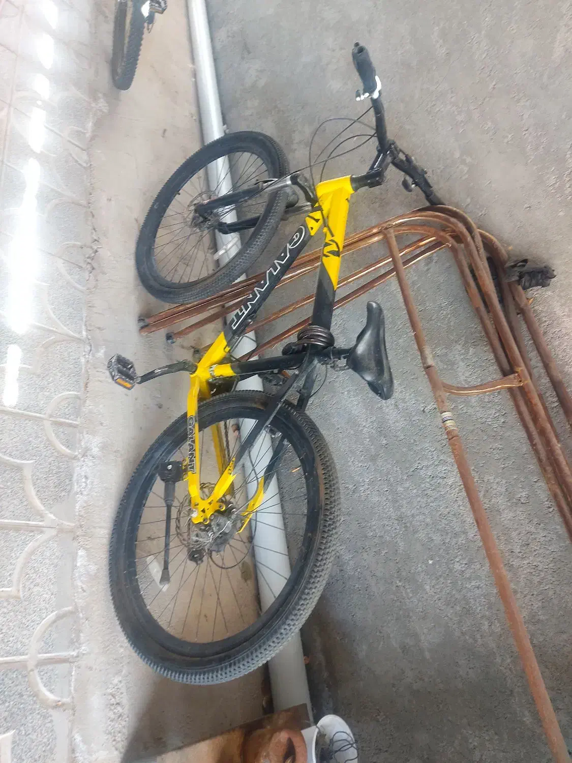 دوچرخه قالانت|دوچرخه، اسکیت، اسکوتر|اسکو, |دیوار