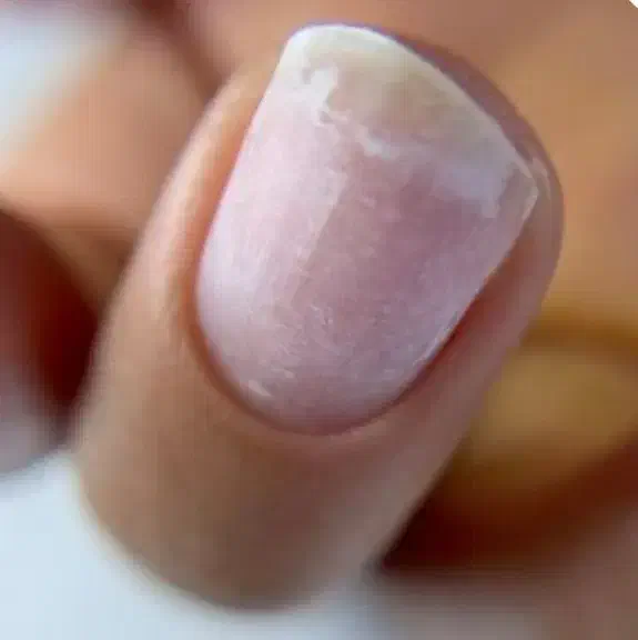 تخفیف ویژه یلدایی آموزش صفرتاصد کاشت ناخن و طراحی|خدمات آموزشی|کاشان, ۲۲ بهمن|دیوار