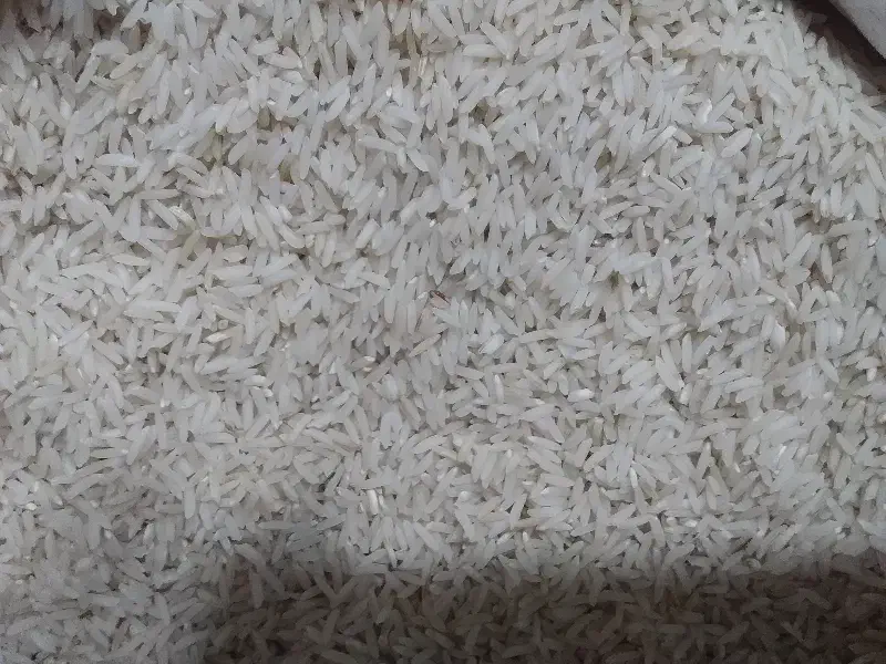 برنج هاشمی مغان|خوردنی و آشامیدنی|تبریز, |دیوار