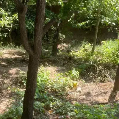 باغ شهر اقساطی سند ششدانگ|فروش زمین و ملک کلنگی|شیراز, کودیان|دیوار