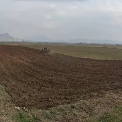 اجاره زمین کشاورزی جاده روستایی تنگ قلعه|اجارهٔ دفتر صنعتی، کشاورزی، تجاری|کوهدشت, |دیوار