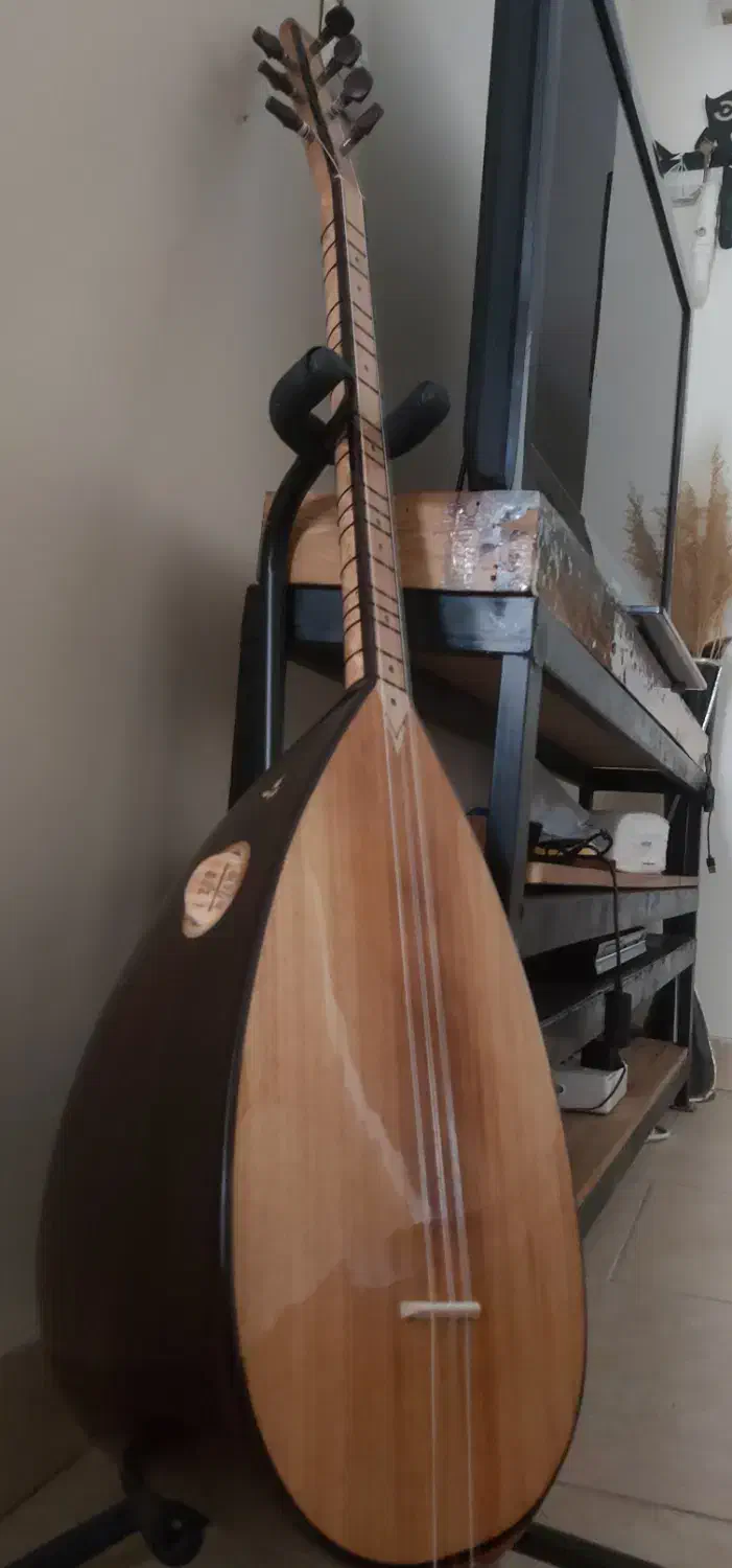 باغلاما دسته کوتاه حرفه ای|سازهای سنتی|تهران, امام حسین|دیوار