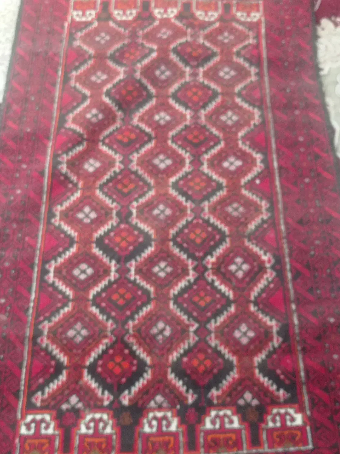 قالیچه دستباف|فرش|تایباد, |دیوار