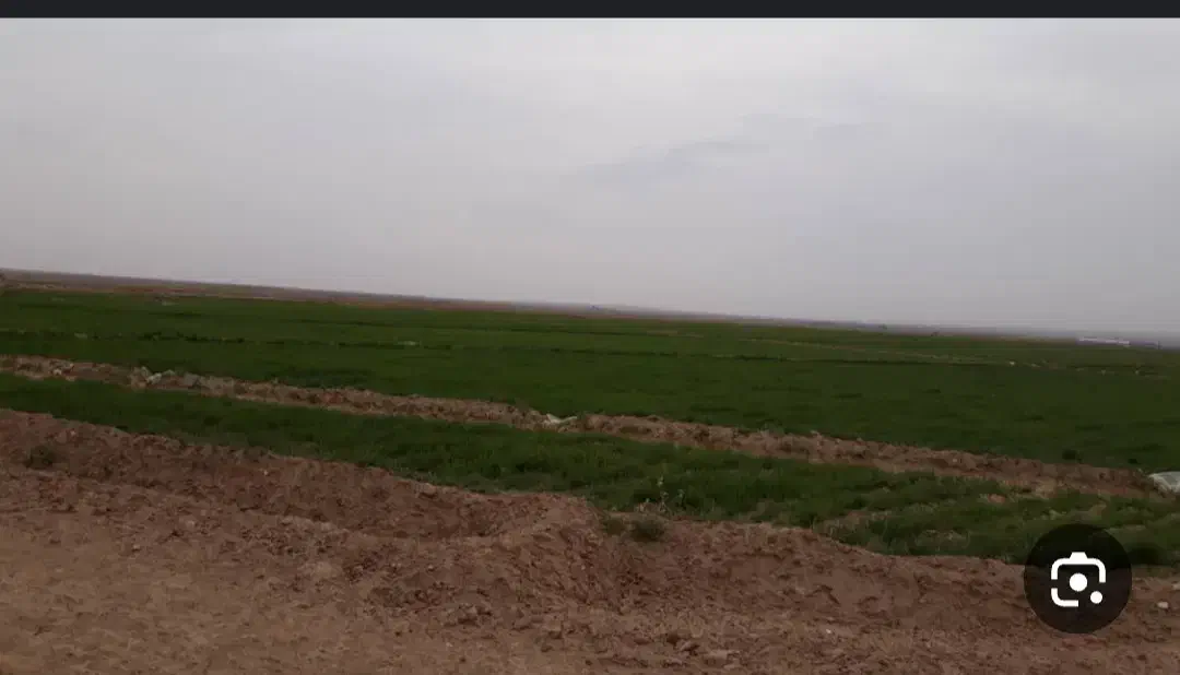 اجاره زمین کشاورزی برای کاشت دیم|اجارهٔ دفتر صنعتی، کشاورزی، تجاری|شبانکاره, |دیوار