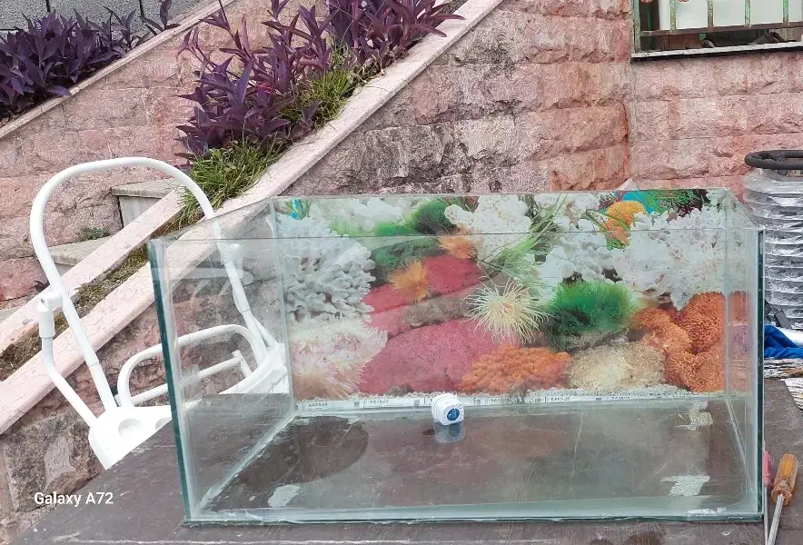 شیشه آکواریوم|ماهی|چالوس, |دیوار