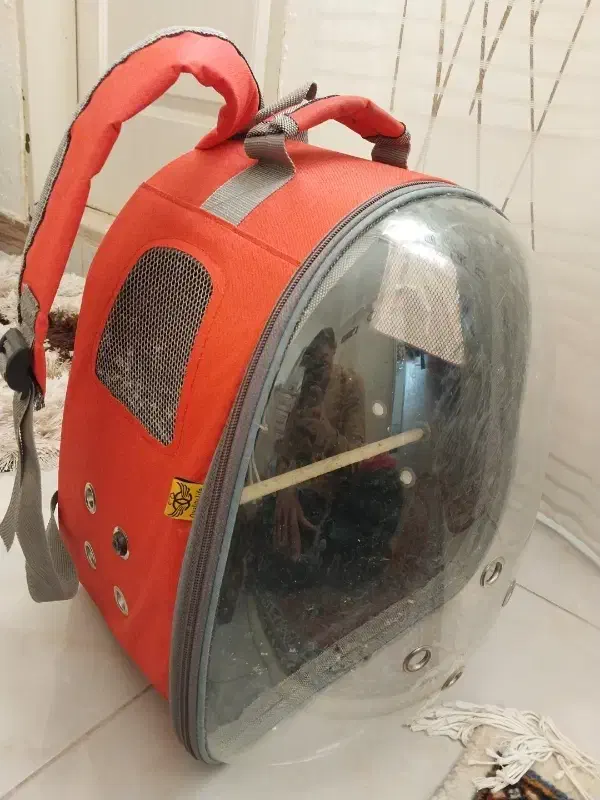 کیف حمل پرنده|لوازم جانبی حیوانات|فردیس, شهرک ۱۱۰|دیوار