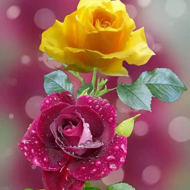 نظافت|خدمات نظافت|مسجد سلیمان, |دیوار