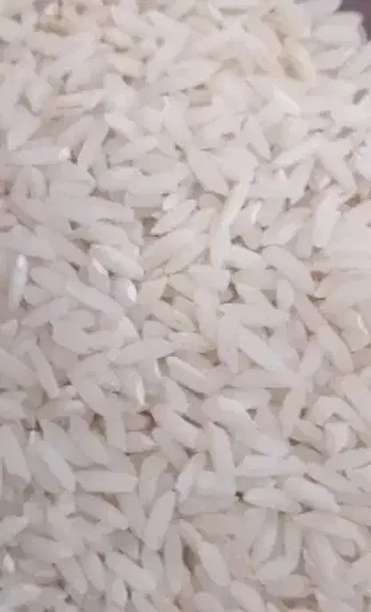 برنج دورود لرستان|خوردنی و آشامیدنی|تهران, گرگان|دیوار