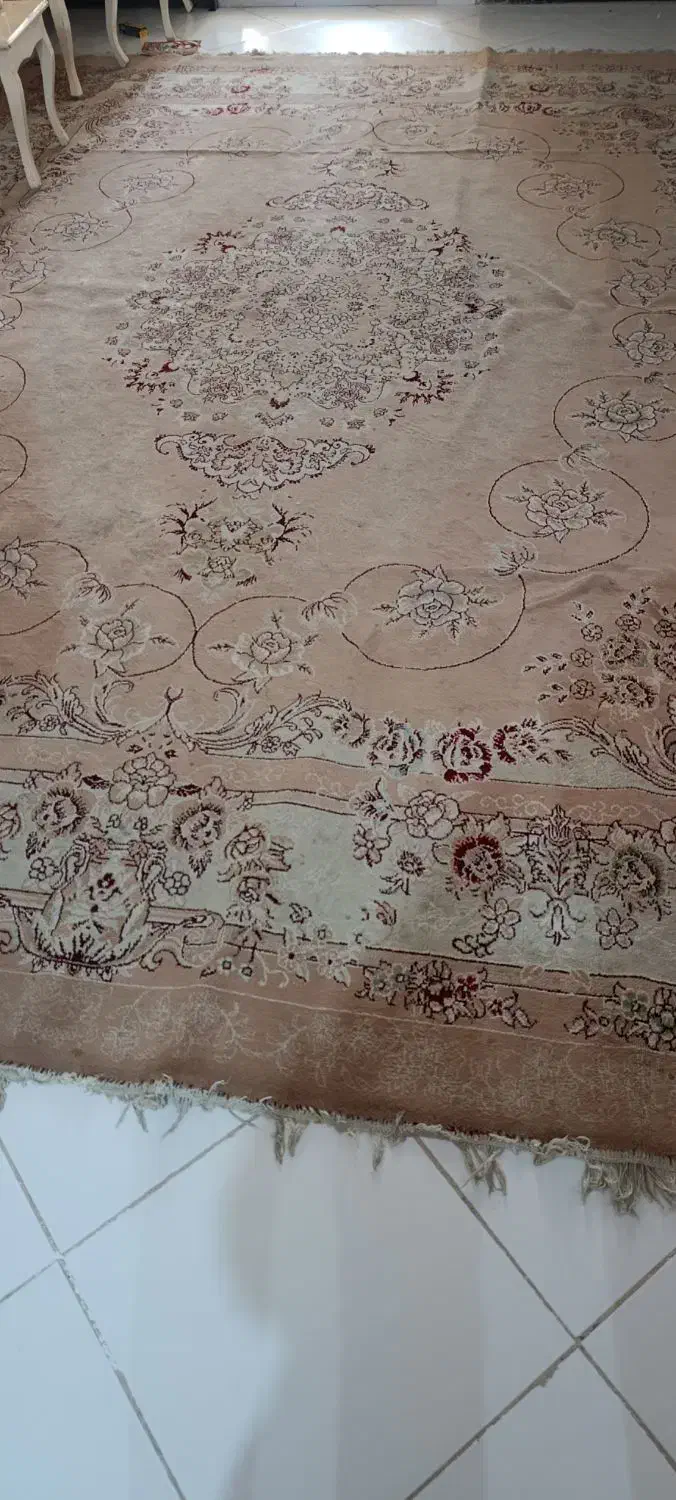 فرش دوازده متری|فرش|مشهد, حضرت حجت|دیوار