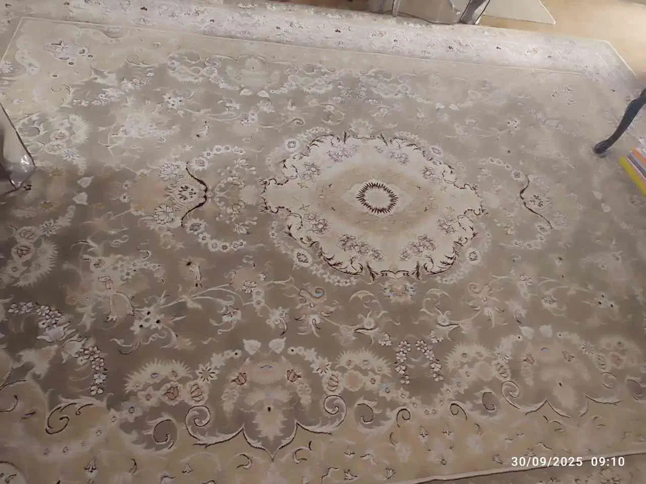 فرش ۷۰۰ شانه|فرش|قوچان, |دیوار