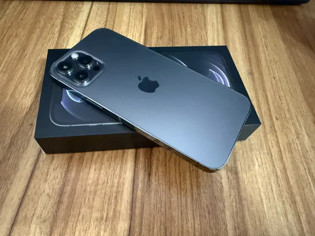 iPhone 12 Promax 256 Gray|موبایل|تهران, سعادت‌آباد|دیوار