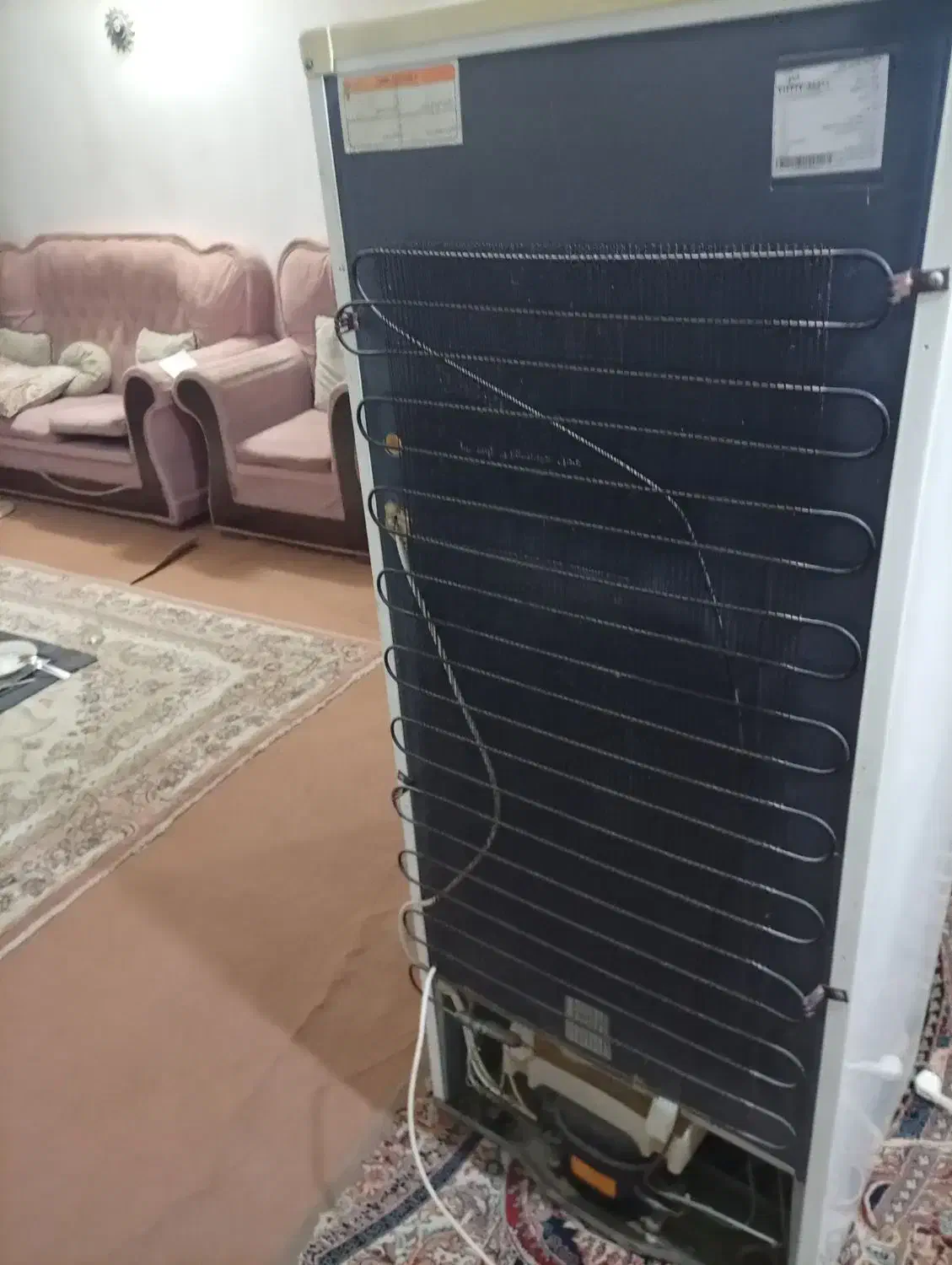 یخچال فیلور|یخچال و فریزر|گنبد کاووس, |دیوار