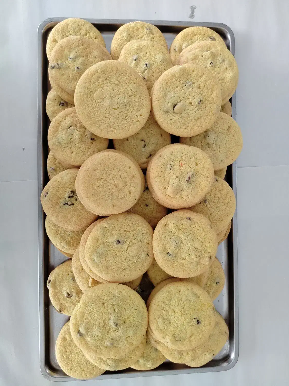 کیک یزدی و کشمشی|خوردنی و آشامیدنی|هشتگرد, مدرس|دیوار