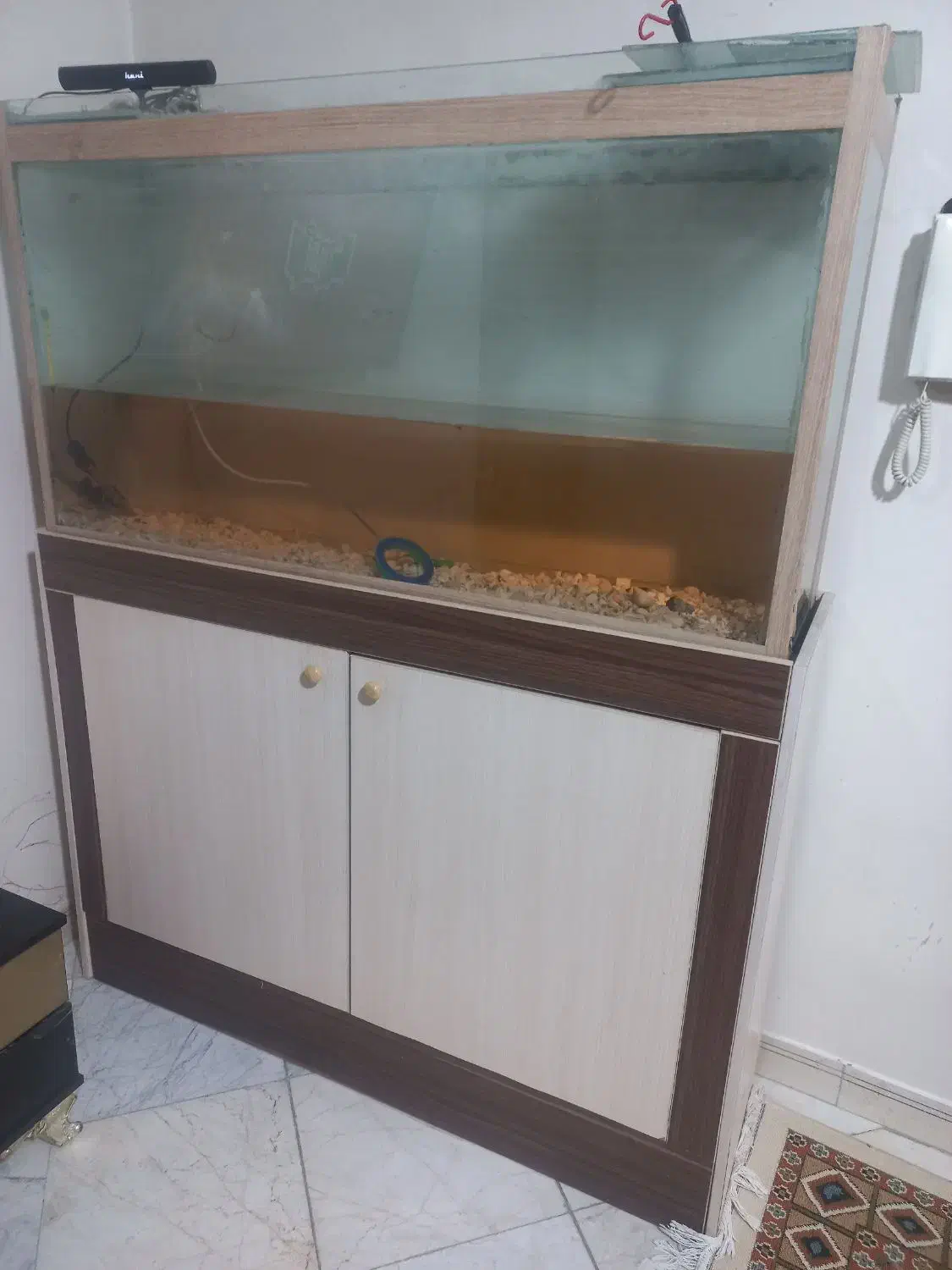 اکواریوم|لوازم جانبی حیوانات|تهران, مسعودیه|دیوار