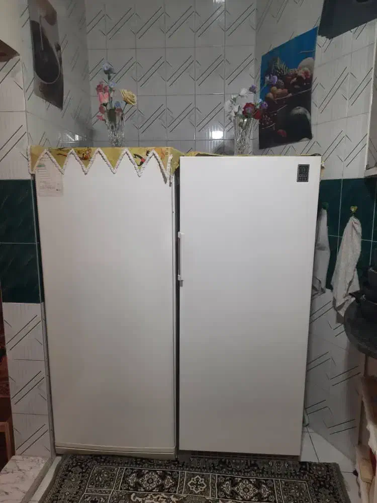 فریزر|یخچال و فریزر|قم, قلعه عموحسین|دیوار