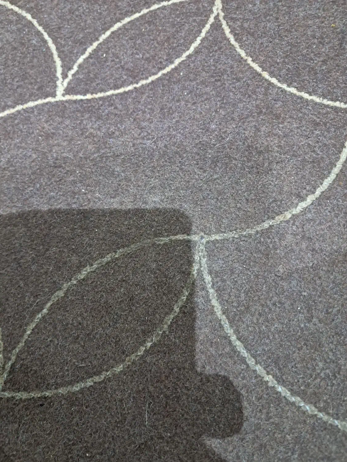 موکت|موکت|محمدیه-قزوین, |دیوار