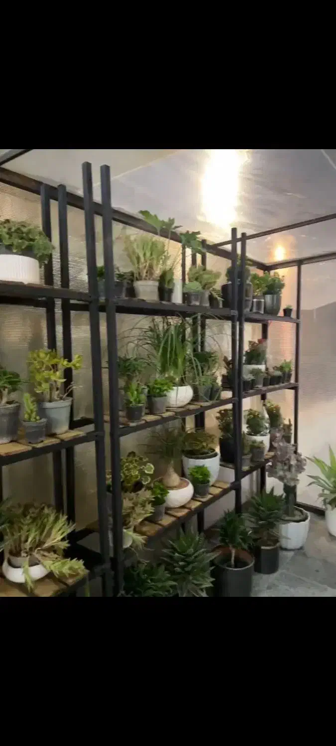 قفسه پروفیل اهن با رنگ کوره ایی|کتابخانه، شلف، قفسه‌های دیواری|تهران, حکیمیه|دیوار