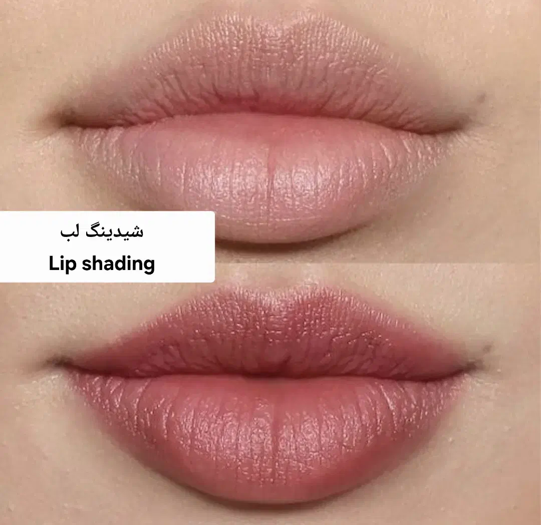 خدمات آرایش دائمvip توسط پیگمنترحرفه ای لیدادهخدا|خدمات آرایشگری و زیبایی|هشتگرد, شهرک بعثت|دیوار