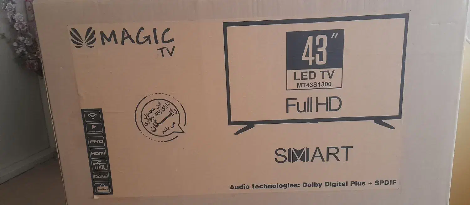 کارتون تلویزیون|تلویزیون و پروژکتور|همدان, |دیوار