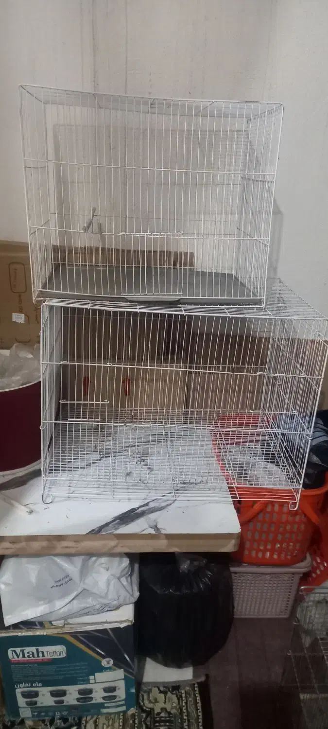 قفس بزرگ عروس هلندی|لوازم جانبی حیوانات|کرمان, |دیوار
