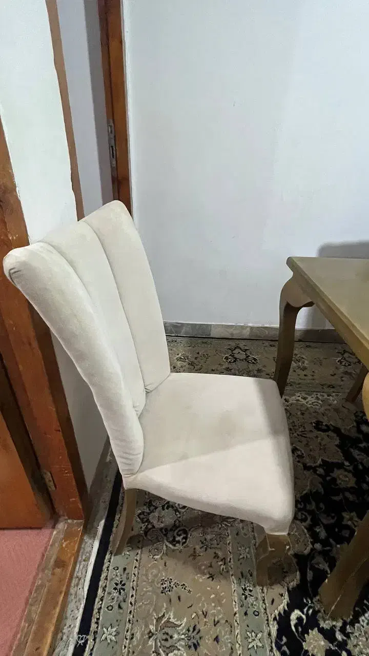 میزنهارخوری ۶ نفره|میز و صندلی غذاخوری|گنبد کاووس, |دیوار