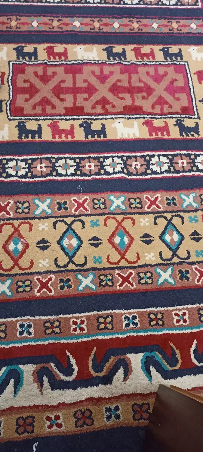 دو عدد فرش شش متری و یک ۴در ۱ متری|فرش|زابل, |دیوار